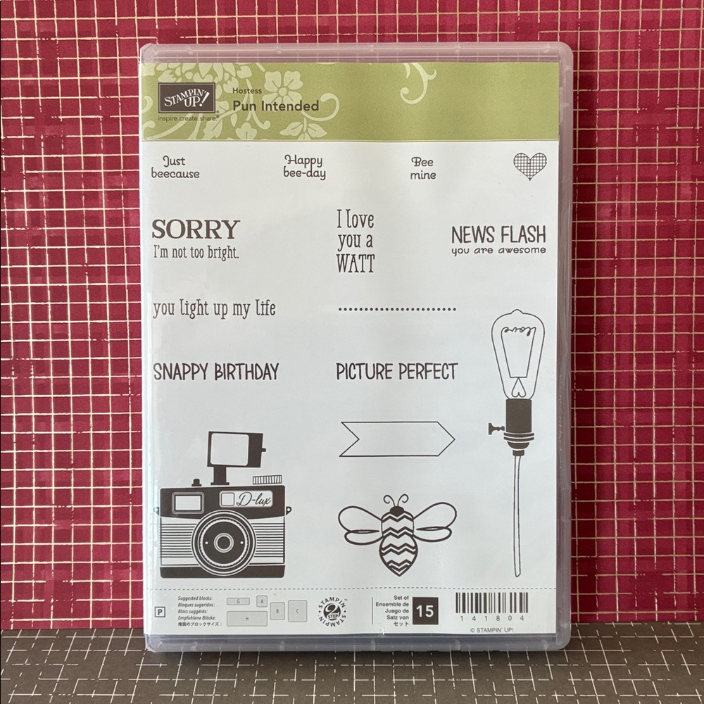 Stampin' Up! Pun Intended Stamp Set, Photopolymer; 15 Stamps; Camera, Bee, Heart